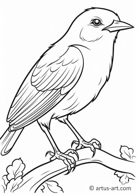 Blackbird Coloring Page » Free Download » Artus Art