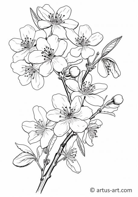 Apricot Blossoms Coloring Page » Free Download » Artus Art