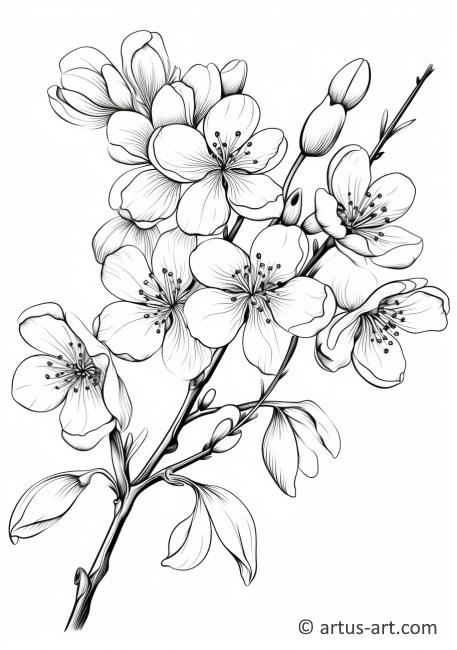 Cherry Blossoms Coloring Page » Free Download » Artus Art