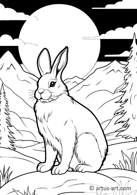 Arctic Hare Coloring Page Free - Ausmalbild%20eines%20Polarhasen 