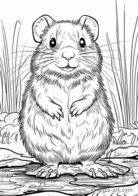 Muskrat Coloring Page » Free Download » Artus Art