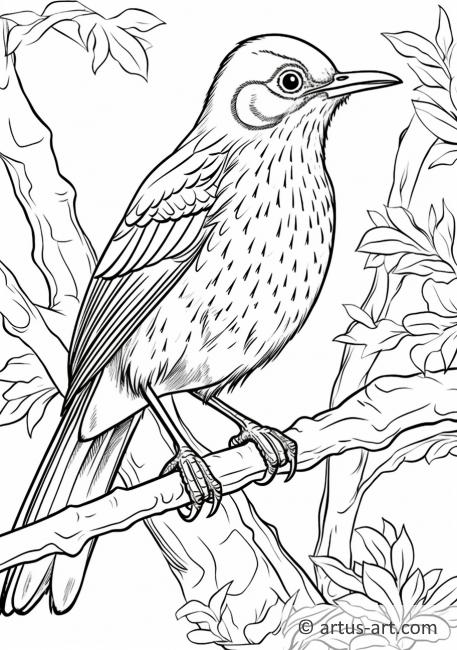 Brown thrasher Coloring Page » Free Download » Artus Art