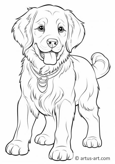 Golden retriever Coloring Page » Free Download » Artus Art