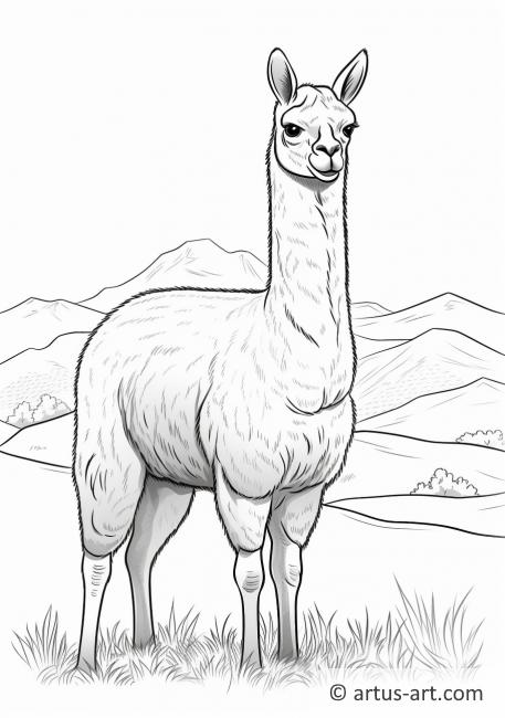 Guanaco Coloring Page » Free Download » Artus Art