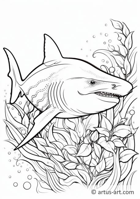 coloriage de requin