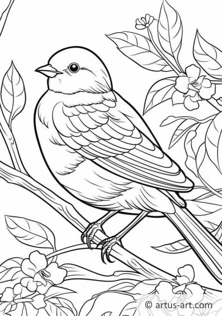 Junco Coloring Page For Kids » Free Download » Artus Art