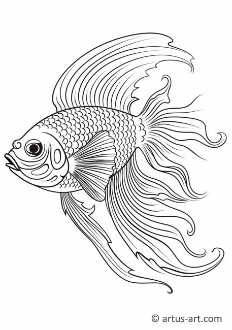 Betta fish Coloring Page » Free Download » Artus Art