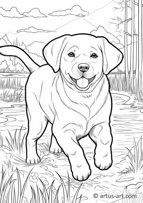 Hunde Ausmalbilder Labrador: Unleash Your Inner Artist with a Friendly Face!