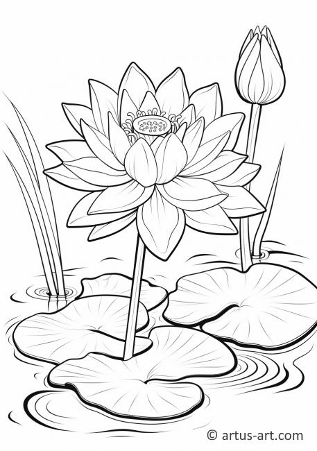 Lotus Flower in a Pond Coloring Page » Free Download » Artus Art