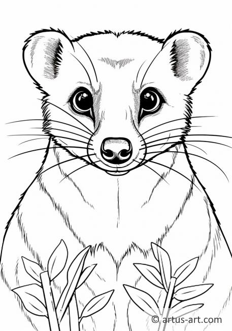 Coati Coloring Page » Free Download » Artus Art