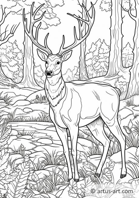 Deer Coloring Page » Free Download » Artus Art