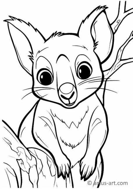 Cute Tree kangaroo Coloring Page For Kids » Free Download » Artus Art