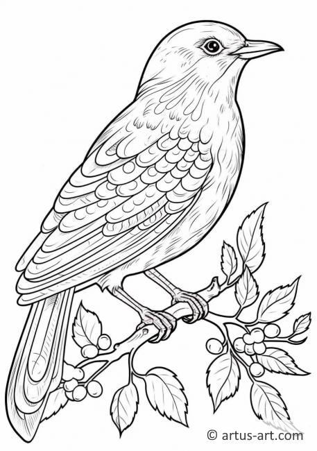 nuthatch coloring pages