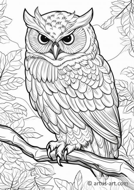 Awesome Birds of North America Coloring Page For Kids » Free Download ...