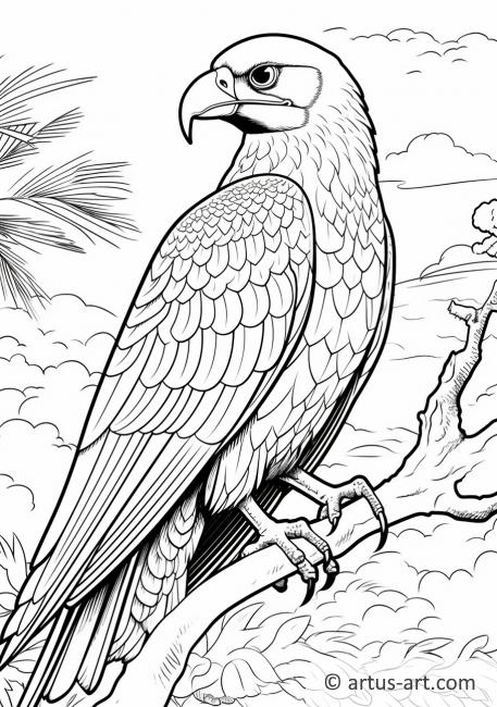 Awesome Frigatebird Coloring Page For Kids » Free Download » Artus Art