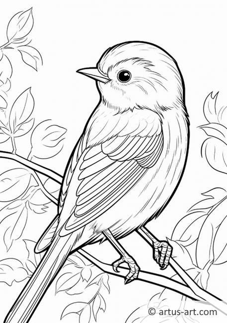 Awesome Warbler Coloring Page For Kids » Free Download » Artus Art