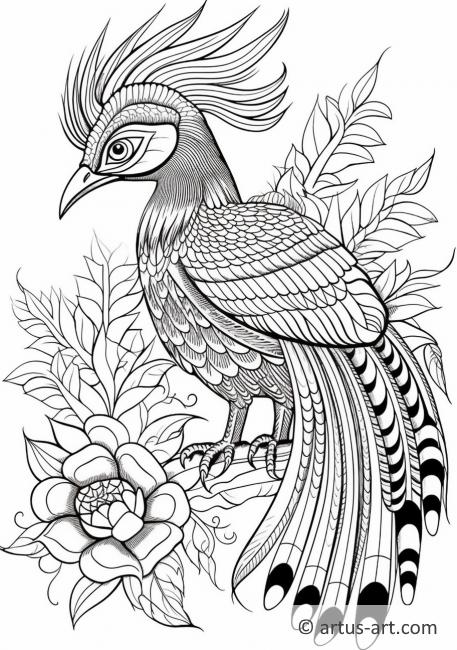 nuthatch coloring pages