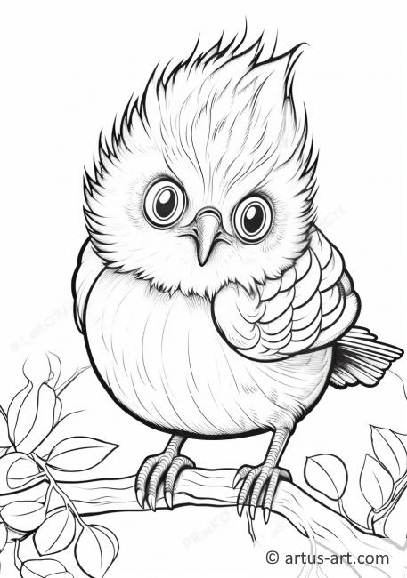 nuthatch coloring pages