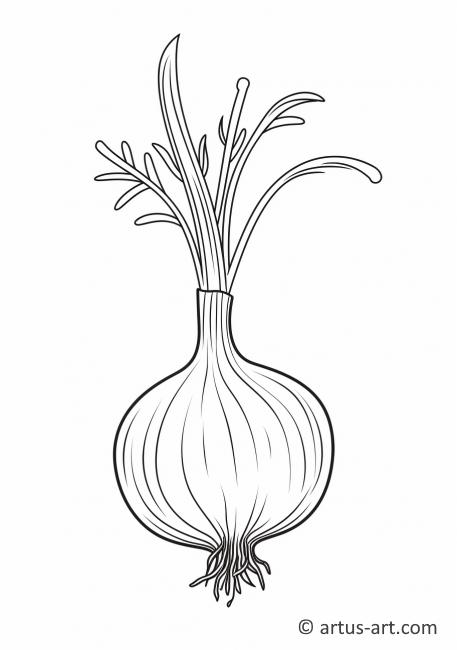 How to Draw an Onion - HelloArtsy