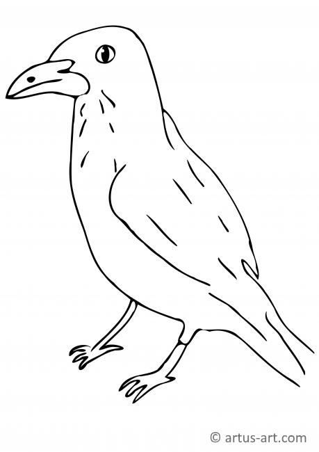 Raven Coloring Page