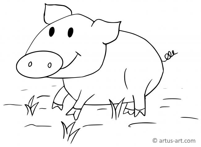 Schwein Ausmalbild