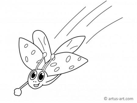 Lady Beetle Coloring Page