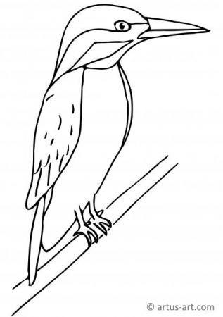 Kingfisher Coloring Page