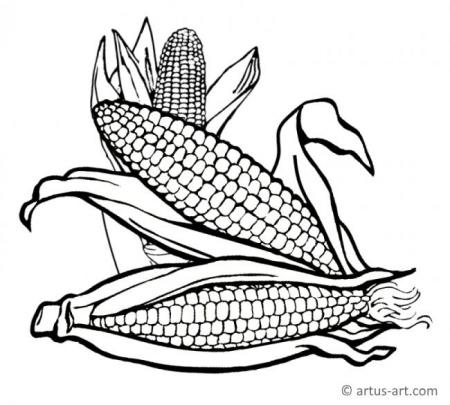 Kukorica színező oldal