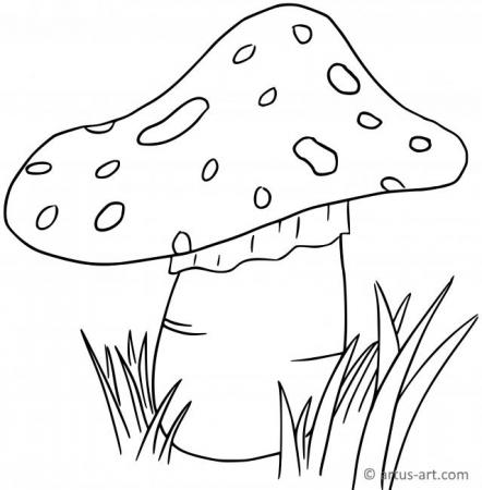 Fly Agaric Coloring Page