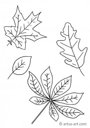Pagină de colorat cu frunze de toamnă