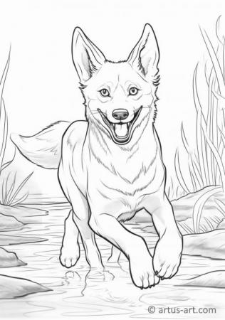 Dingo Coloring Page