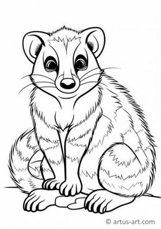 Cute Coati Coloring Page For Kids
