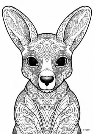 Aranyos kenguru színező oldal