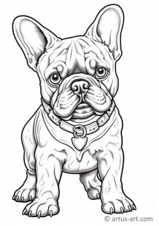 French Bulldog Coloring Pages