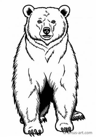 Pagină de colorat cu Ursuleț drăgălaș