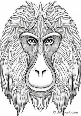 Mandrill Coloring Page For Kids