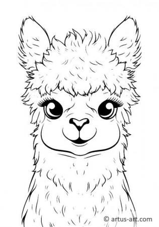 Cute Alpaca Coloring Page For Kids