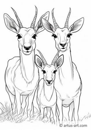 Cute Antelopes Coloring Page For Kids