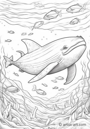Раскраски голубого кита