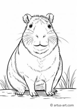 Sevimli Kapibara Boyama Sayfası Çocuklar İçin