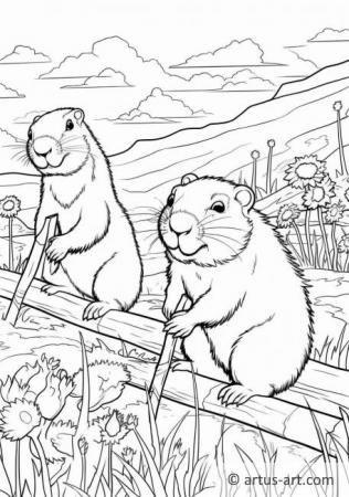 Pagină de colorat cu marmote pentru copii