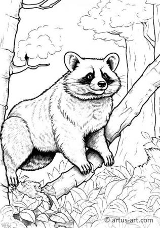 Raccoon dog Coloring Page For Kids