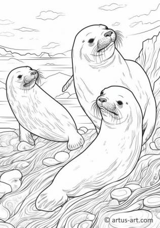Página para colorir de leões-marinhos para crianças