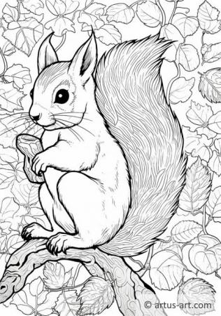Pagina da colorare di scoiattolo