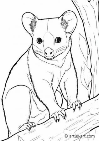 Ağaç kangurusu Boyama Sayfası
