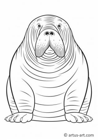 Cute Walrus Coloring Page For Kids