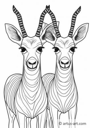 Antelopes Coloring Page For Kids
