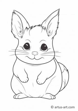 Chinchilla Coloring Page For Kids