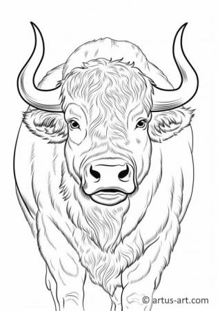 European Bison Coloring Page For Kids