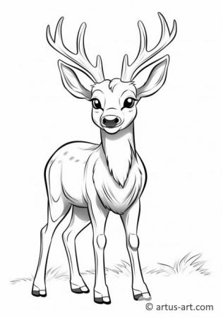 Cute Mule deer Coloring Page
